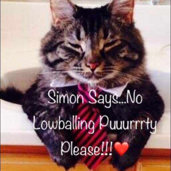 Boho Style Necklace - Picture 3 of 3